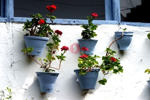 Hang Planters with a Wooden Awning