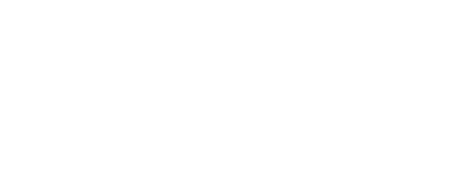 Logo White